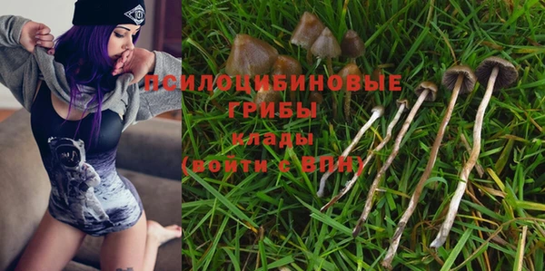 прущие крисы Балахна