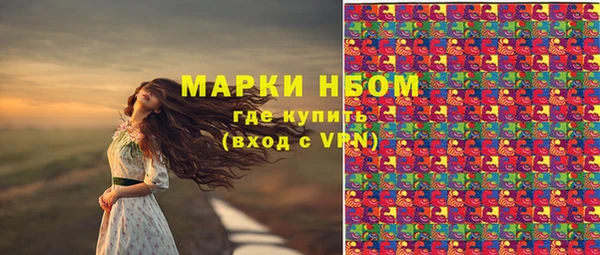 мяу мяу мука Баксан