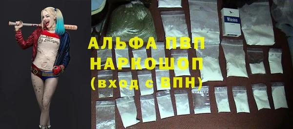 мяу мяу мука Баксан